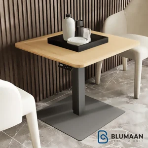 استند لیفت آپ تک پایه چند منظوره فانتونی T002، برای ارتقای فضای کار و افزایش بهره‌وری.