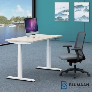 استند لیفت آپ دو پایه چند منظوره فانتونی، یک راه‌حل ارگونومیک و باکیفیت برای ارتقای فضای کار شما.