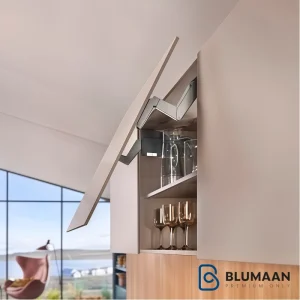 جک اونتوس HS بلوم - نمای دوم